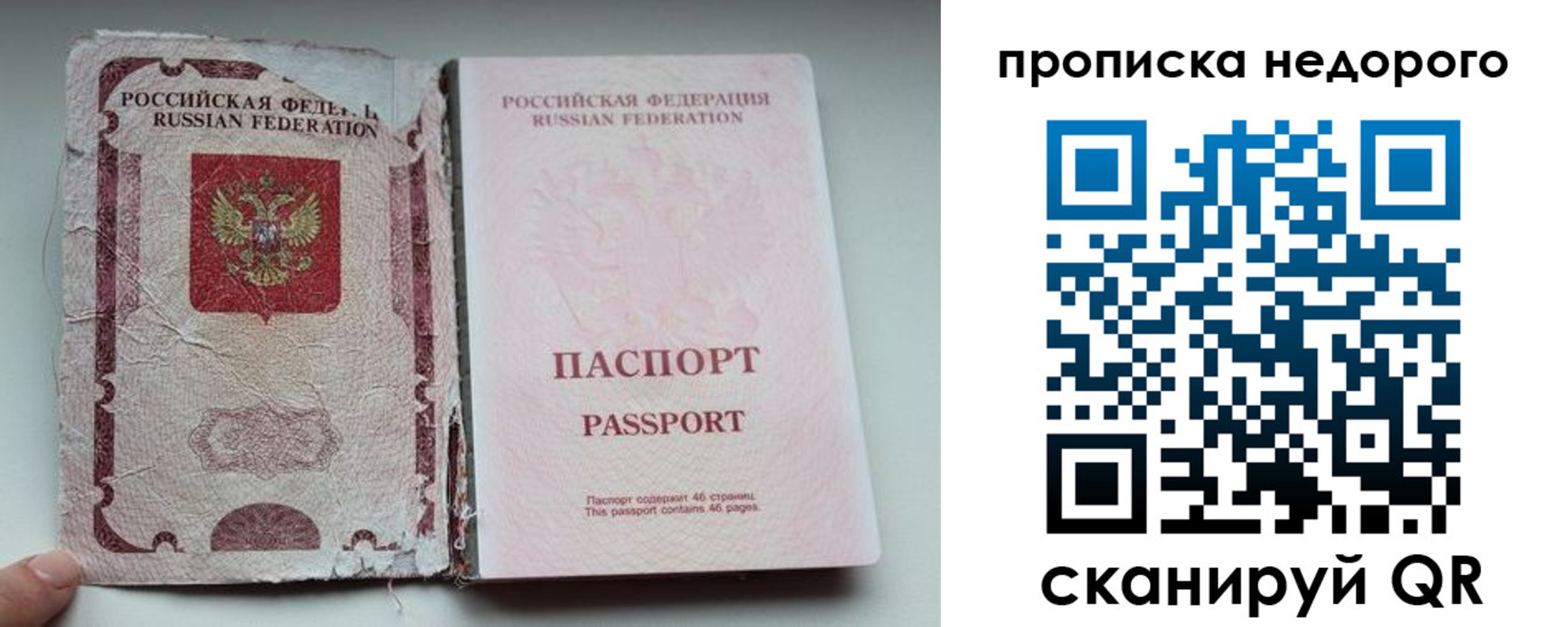 прописка для работы в Павловске
